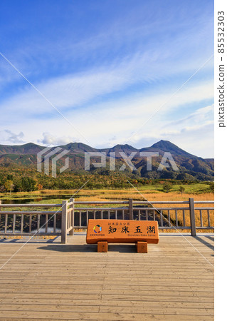 Shiretoko五湖高的樹道路在秋天 Shiretoko五湖高的樹道路在秋天 85532303