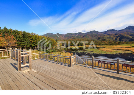 Shiretoko五湖高的樹道路在秋天 Shiretoko五湖高的樹道路在秋天 85532304
