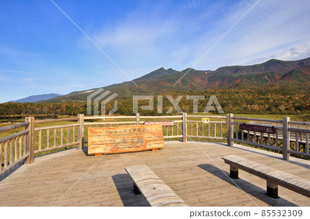 Shiretoko五湖高的樹道路在秋天 85532309