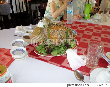 越南旅行 85532464