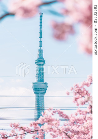 Spring Tokyo Sky Tree Kawazu Sakura Former Nakagawa Riverbed Spring Tokyo Sky Tree Kawazu Sakura Former Nakagawa Riverbed 85532592