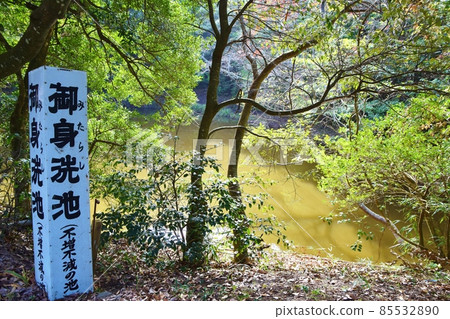 白頭神社 Mimirai Pond 鳥取 白頭神社 Mimirai Pond 鳥取 85532890