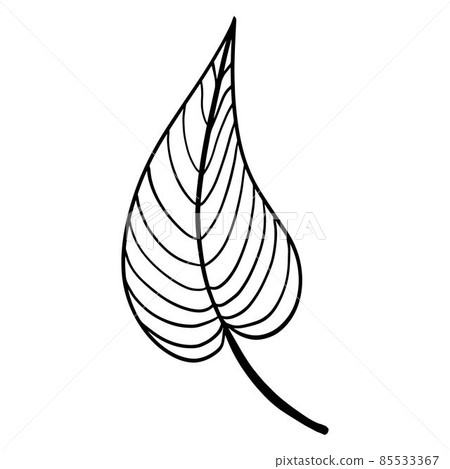 Striped tree leaf isolated vector illustration 85533367