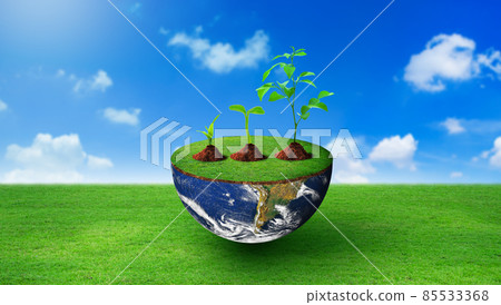 Plants of different sizes on half sphere with green grass on. Nature and Blue sky Background. Environmental stewardship, World Environment Day, and Saving environment Concept. Image furnished by NASA. Plants of different sizes on half sphere with green grass on. Nature and Blue sky Background. Environmental stewardship, World Environment Day, and Saving environment Concept. Image furnished by NASA. 85533368