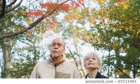 走依偎的資深夫婦 85533465