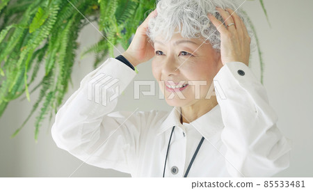 Gray hair senior female hair care image 85533481