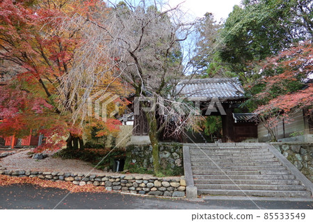 日本京都市嵐山法輪寺入口處的門和秋葉 85533549