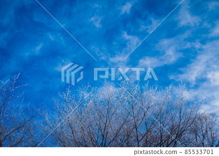 照在白霜上的光[北淳郡白馬村] 85533701
