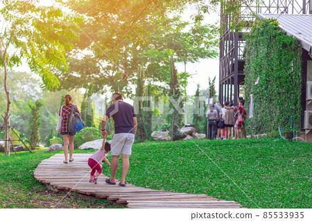 Back view of Asian Father hand holding lovely daughter walking on pathway through green garden.Dad and daughter walking together in park. Happy family spending time together outside in green nature. 85533935