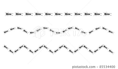 A trail of ants. Insects march along the line. Vector A trail of ants. Insects march along the line. Vector 85534400