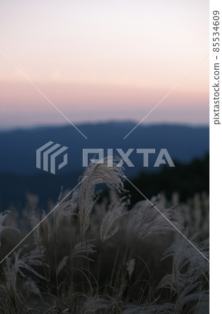 The sky dyed red 85534609