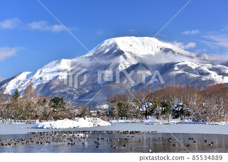 Snow Ibukiyama 85534889