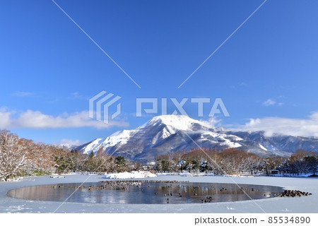 Snow Ibukiyama Snow Ibukiyama 85534890