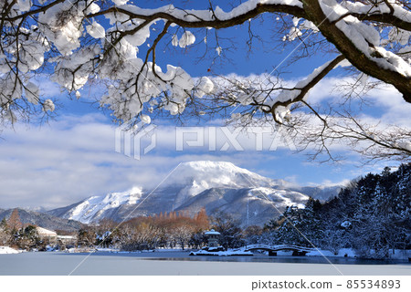 Snow Ibukiyama Snow Ibukiyama 85534893
