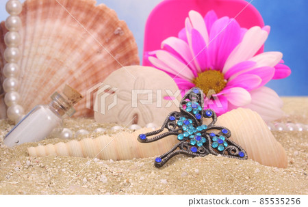Sea Shells With Flower and Jewelry on Sandy Beach Sea Shells With Flower and Jewelry on Sandy Beach 85535256