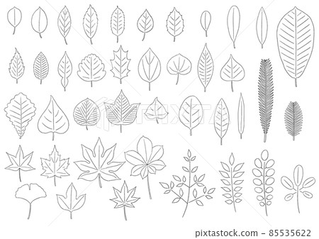 各種樹葉（畫線） 85535622