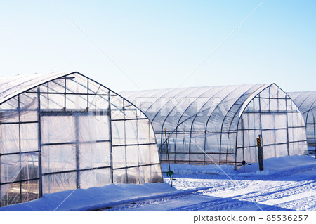 Snow scene and greenhouse Snow scene and greenhouse 85536257