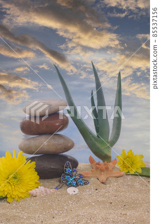 Aloe Vera Plant With Flowers and Sea Shells on Sand 85537156