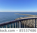 Sea and Mt. Fuji 85537486