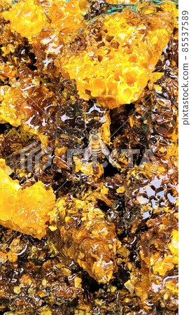 巢蜂蜜和蜜蜂材料背景 85537589