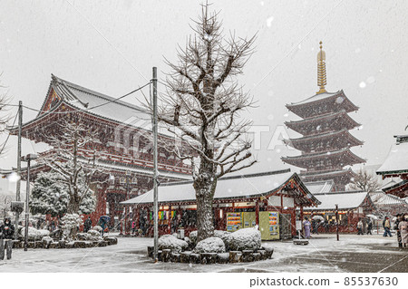 Asakusa of the snow Asakusa of the snow 85537630