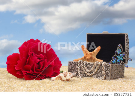 Jewelry Box and Flower on Beach,with Blue Sky Background Jewelry Box and Flower on Beach,with Blue Sky Background 85537721