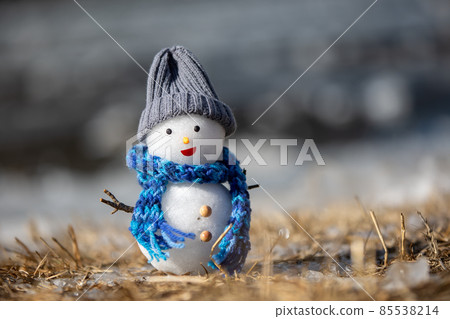 在一個結冰的湖岸的手工製造雪人 85538214