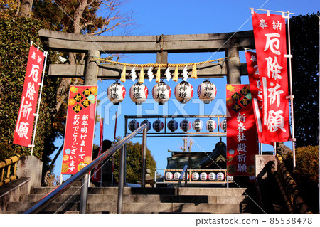 Numabukuro Hikawa Shrine for New Year (3) 85538478
