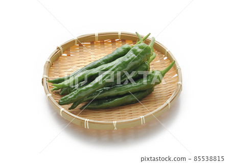 甜長豆芽 甜長豆芽 85538815