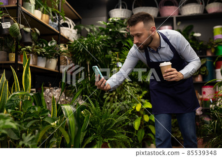 entrepreneur florist in a garden center taking pictures on a smartphone flower arrangements potted entrepreneur florist in a garden center taking pictures on a smartphone flower arrangements potted 85539348