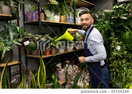florist watering flowers in the garden center florist watering flowers in the garden center 85539384