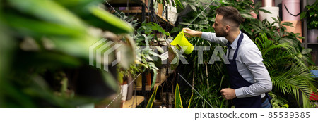florist gardener watering flowers you are in a shop selling potted plants florist gardener watering flowers you are in a shop selling potted plants 85539385