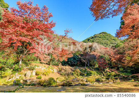 秋天的清水寺本房花園福岡縣美山市 85540086
