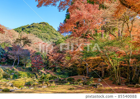 秋天的清水寺本房花園福岡縣美山市 85540088