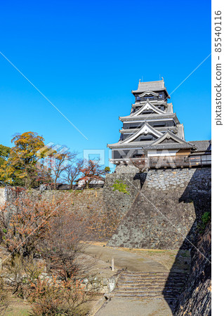 熊本縣熊本市秋季復原的熊本城 85540116