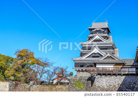 熊本縣熊本市秋季復原的熊本城 85540117