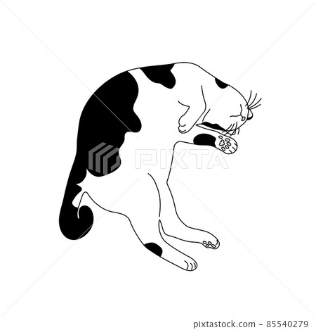 Realistic illustration of a sleeping black and white cat 85540279