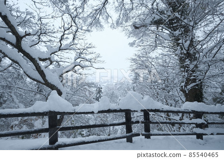 大雪越前小野 大雪越前小野 85540465