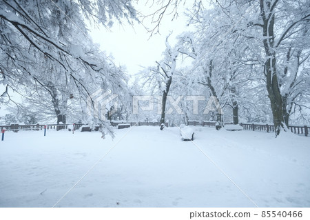 大雪越前小野 大雪越前小野 85540466