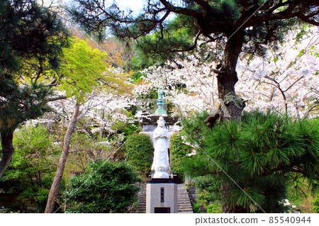 [Kanagawa] Spring Kamakura Kenchoji Temple Akira Kannon and Earthquake Memorial Tower 85540944