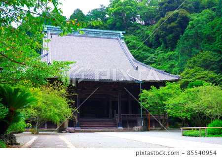 鎌倉市大町的古寺,日蓮宗總寺明本寺的創始人 鎌倉市大町的古寺,日蓮宗總寺明本寺的創始人 85540954