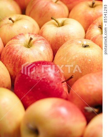 Apples fruit. Vertical view of several beautiful fresh red apples Apples fruit. Vertical view of several beautiful fresh red apples 85541293