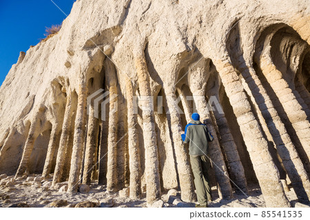 Crowley columns 85541535