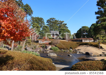 群馬縣前橋市前橋公園日本庭園及其池塘景觀 群馬縣前橋市前橋公園日本庭園及其池塘景觀 85541568