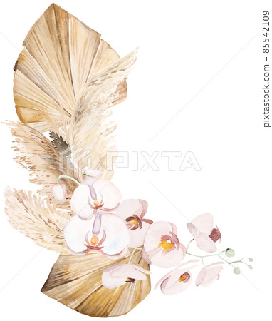 Watercolor Bohemian bouquet with dried leaves and tropical flowers illustration 85542109