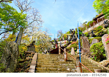 【神奈川】大殿前的天狗雕像從鎌倉的Hansobo樓梯仰望春天的鎌倉 85542540