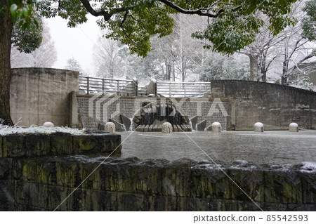 雪景中的山下公園舞台 雪景中的山下公園舞台 85542593
