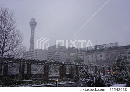 Yamashita Park in the snowy landscape Yamashita Park in the snowy landscape 85542688