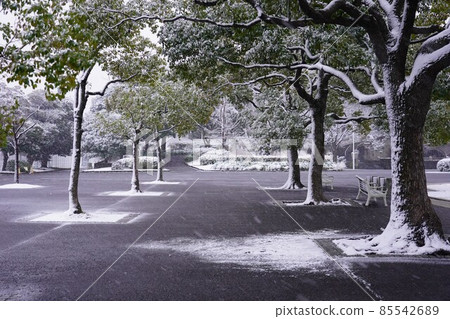Yamashita Park in the snowy landscape Yamashita Park in the snowy landscape 85542689