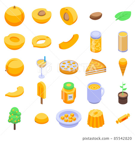 Apricot icons set, isometric style 85542820